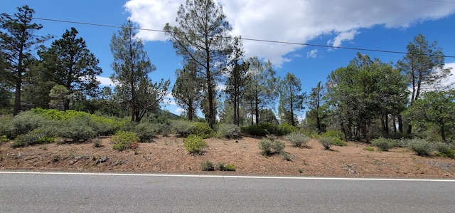 Listing photo 3 for LOT11 Cassel Fall River Rd, Fall River Mills CA 96028