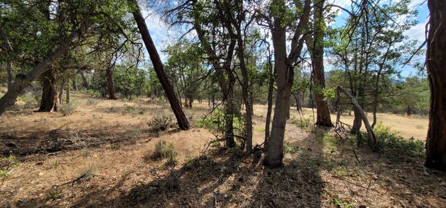 Shoshoni Loop, Fall River Mills CA, 96028 land for sale