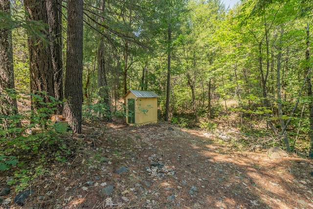 view of yard with a storage unit