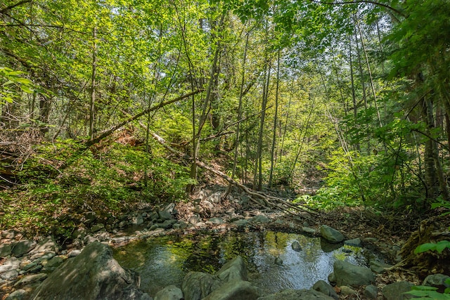 view of mother earth's splendor featuring a water view