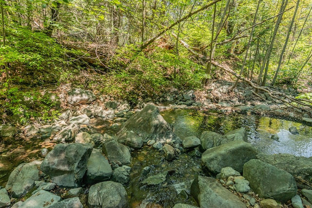 view of local wilderness featuring a water view