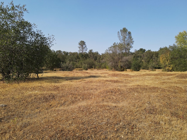 Old Oregon Trl, Redding, CA 96003 - photo 12