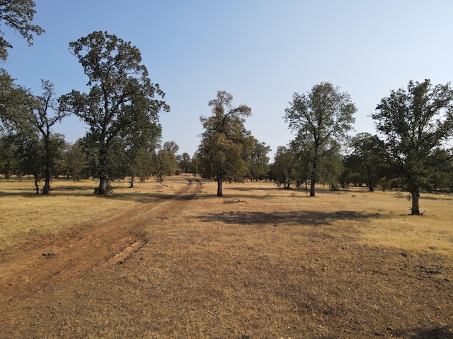 Old Oregon Trl, Redding, CA 96003 - photo 16