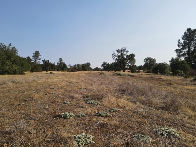 Old Oregon Trl, Redding, CA 96003 - photo 27
