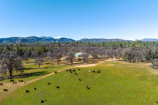 aerial view with a mountain view and a rural view