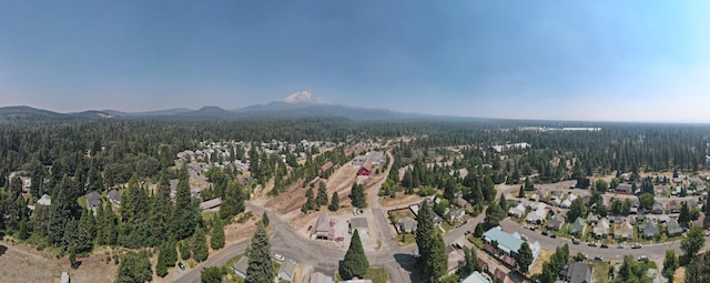 bird's eye view with a mountain view