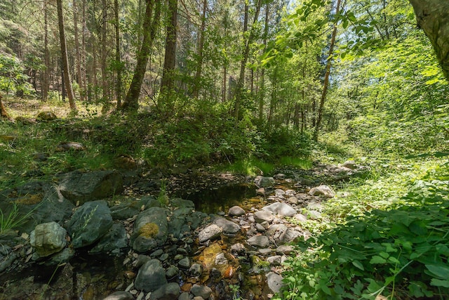 4298 Little Browns Creek Rd, Weaverville, CA 96093 - view of nature with a view of trees