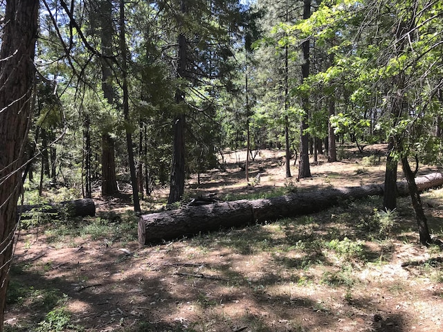 Phillips Rd, Oak Run CA, 96069 land for sale