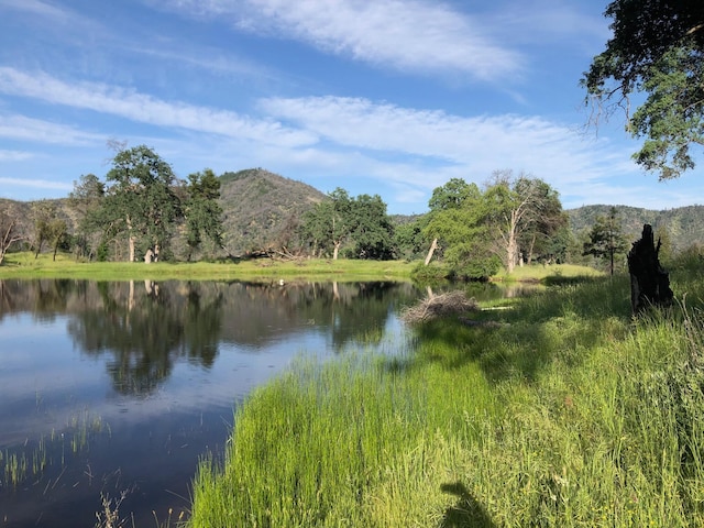 Zogg Mine Rd, Igo CA, 96047 land for sale