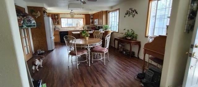 dining space with ceiling fan and dark wood-type flooring