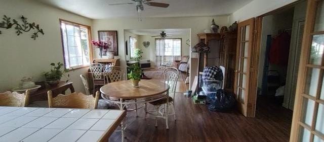 dining room with plenty of natural light, dark hardwood / wood-style floors, and ceiling fan