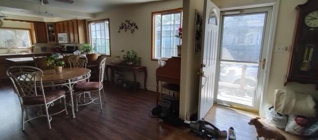 dining room with dark hardwood / wood-style floors