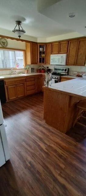 kitchen with stainless steel range oven, dark hardwood / wood-style floors, and sink