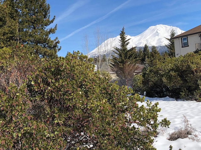 1162 Deas Way, Mount Shasta CA, 96067 land for sale