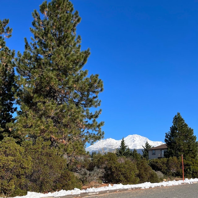 Listing photo 3 for 1162 Deas Way, Mount Shasta CA 96067