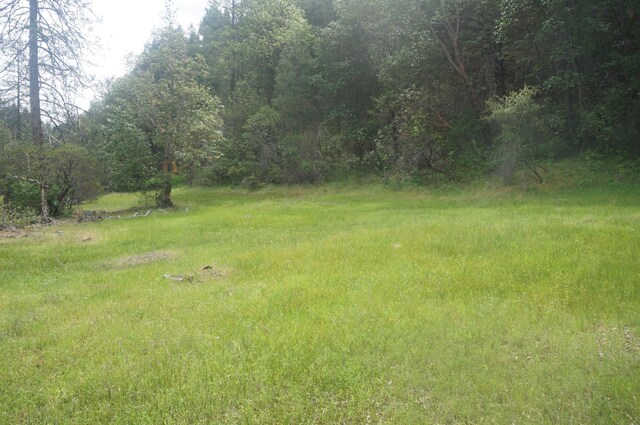 6269 Dutch Creek Rd, Junction City, CA 96048 - photo 1