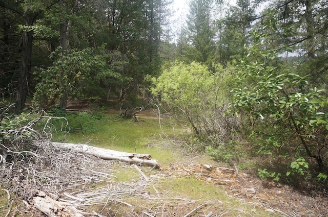 6269 Dutch Creek Rd, Junction City, CA 96048 - photo 3