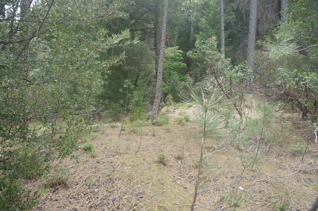 6269 Dutch Creek Rd, Junction City, CA 96048 - photo 4