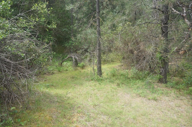 6269 Dutch Creek Rd, Junction City, CA 96048 - photo 5