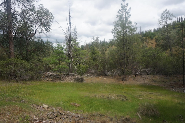 6269 Dutch Creek Rd, Junction City, CA 96048 - photo 2