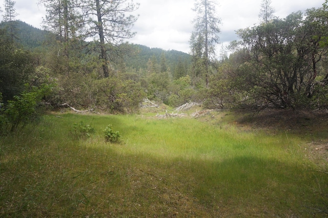 6269 Dutch Creek Rd, Junction City, CA 96048 - photo 7