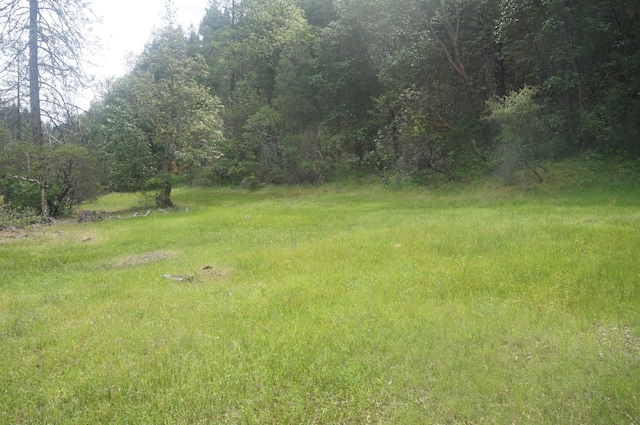 6269 Dutch Creek Rd, Junction City, CA 96048 - photo 8