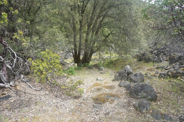 6269 Dutch Creek Rd, Junction City, CA 96048 - photo 9