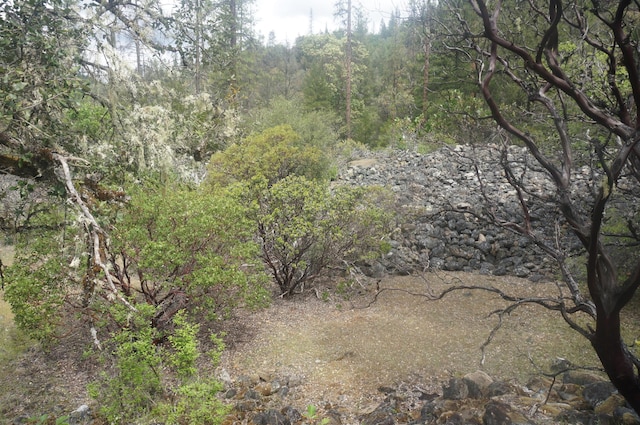 6269 Dutch Creek Rd, Junction City, CA 96048 - photo 10