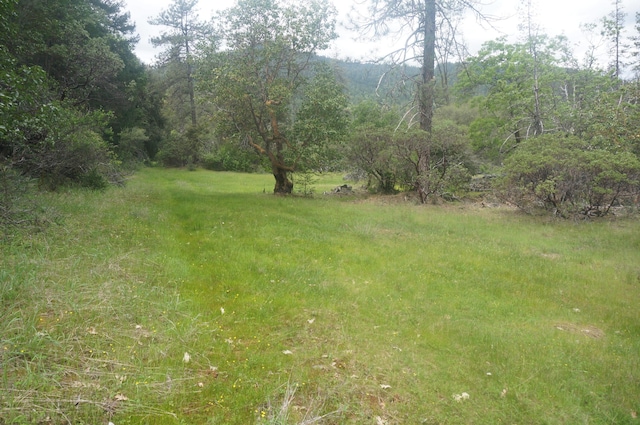 6269 Dutch Creek Rd, Junction City, CA 96048 - photo 11