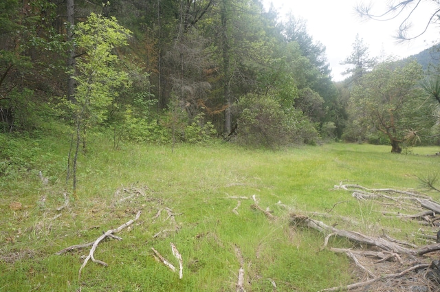 6269 Dutch Creek Rd, Junction City, CA 96048 - photo 13