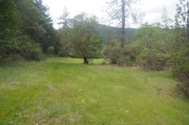 6269 Dutch Creek Rd, Junction City, CA 96048 - photo 15