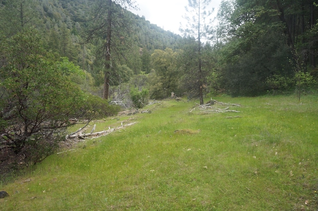 6269 Dutch Creek Rd, Junction City, CA 96048 - photo 16