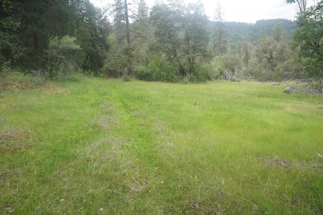 6269 Dutch Creek Rd, Junction City, CA 96048 - photo 17