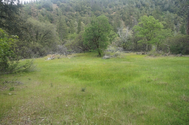 6269 Dutch Creek Rd, Junction City, CA 96048 - photo 18