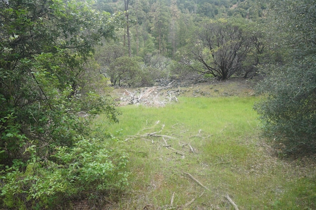 6269 Dutch Creek Rd, Junction City, CA 96048 - photo 21