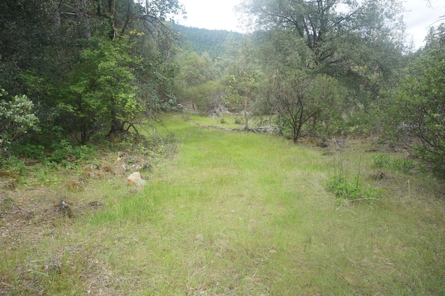6269 Dutch Creek Rd, Junction City, CA 96048 - photo 22