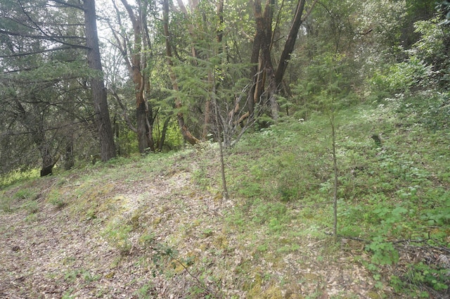6269 Dutch Creek Rd, Junction City, CA 96048 - photo 24