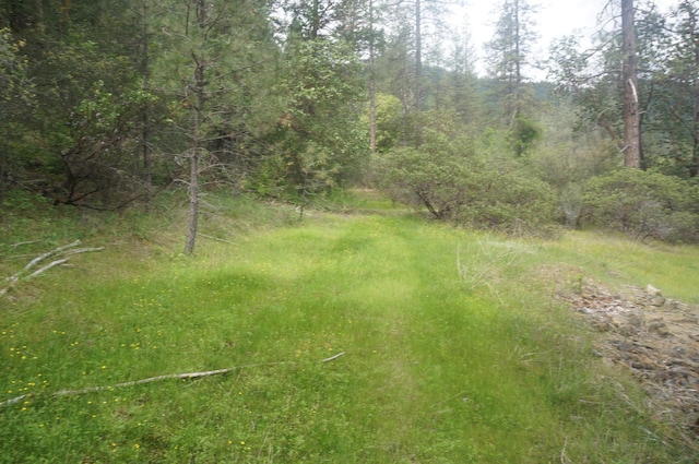 6269 Dutch Creek Rd, Junction City, CA 96048 - photo 25