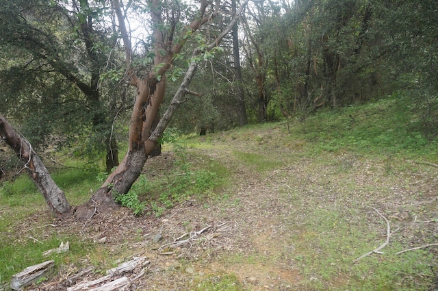 6269 Dutch Creek Rd, Junction City, CA 96048 - photo 26