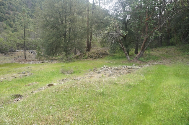 6269 Dutch Creek Rd, Junction City, CA 96048 - photo 27