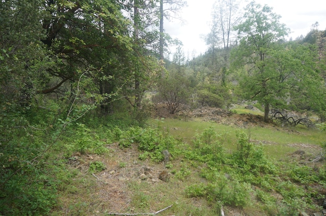 6269 Dutch Creek Rd, Junction City, CA 96048 - photo 28