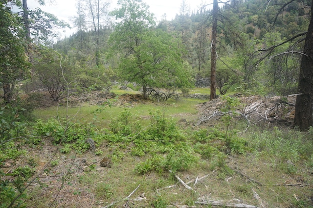 6269 Dutch Creek Rd, Junction City, CA 96048 - photo 29