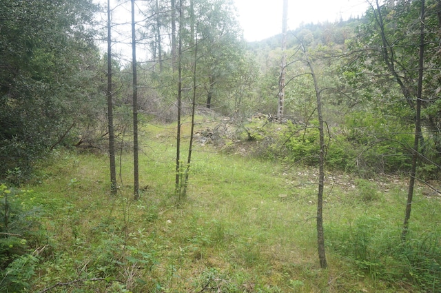 6269 Dutch Creek Rd, Junction City, CA 96048 - photo 32