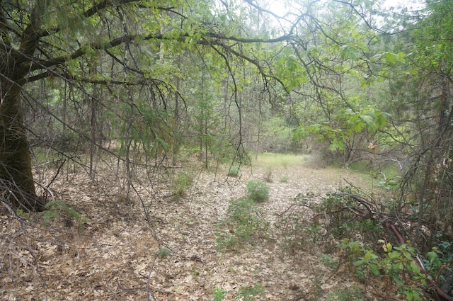 6269 Dutch Creek Rd, Junction City, CA 96048 - photo 33