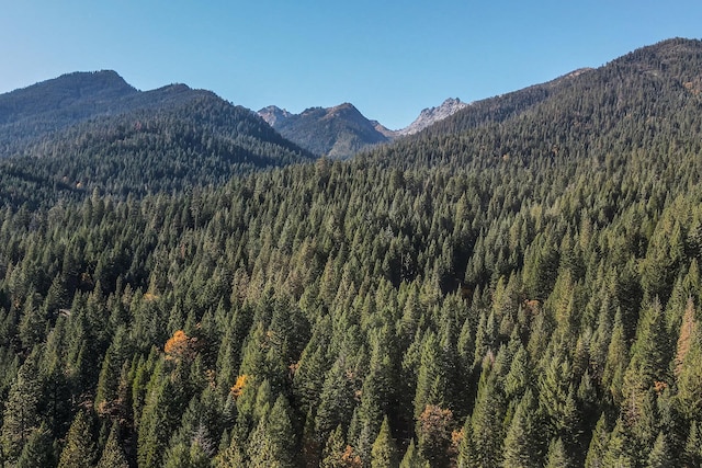 view of mountain view