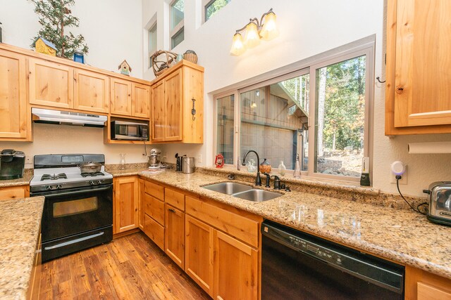 kitchen with sink, range with gas stovetop, light hardwood / wood-style flooring, dishwasher, and light stone countertops