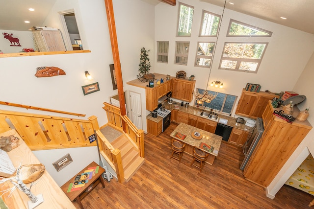 living room with high vaulted ceiling, hardwood / wood-style floors, and sink