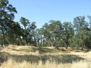 Oak Run Rd, Millville CA, 96062 land for sale