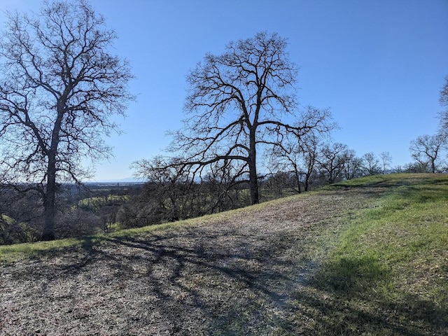 Listing photo 2 for 000 Penneleme Rd, Red Bluff CA 96080