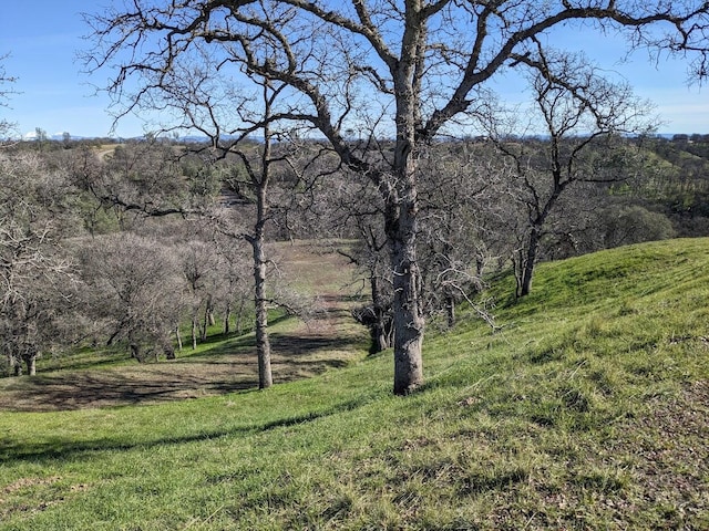 Listing photo 3 for 000 Penneleme Rd, Red Bluff CA 96080